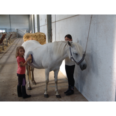 Ponykampen foto 1