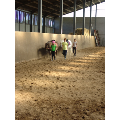 Ponykampen foto 5
