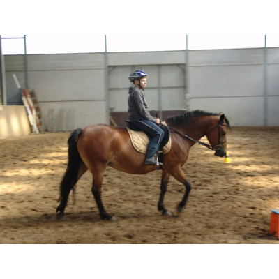 Ponykampen foto 2