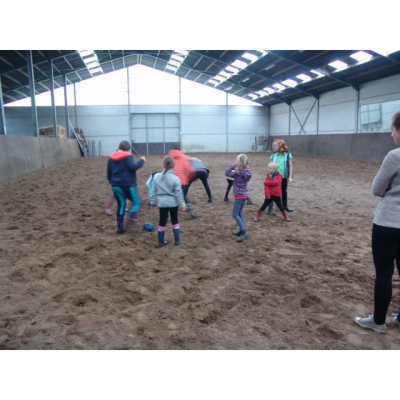 Ponykampen foto 3