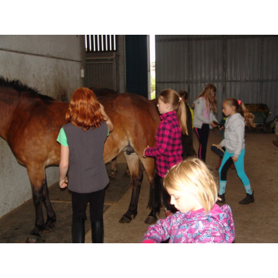 Ponykampen foto 4